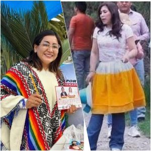 ELECCIONES 2026: VALLA ELECTORAL ¿BAJO QUÉ CRITERIOS LOS PARTIDOS ACCEDERÁN AL CONGRESO?